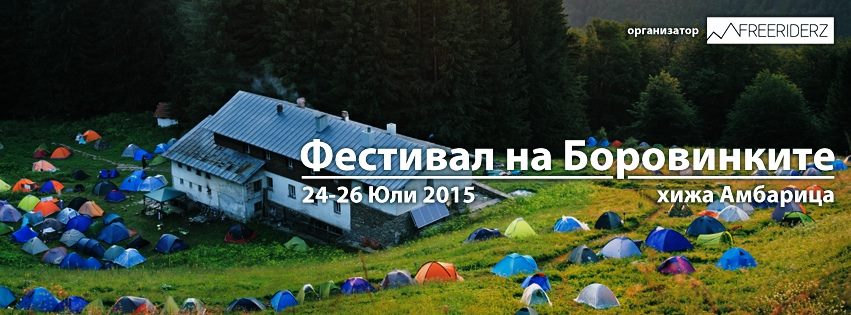 Фестивал на Боровинките 2015