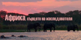 Африка, сърцето на изследователя