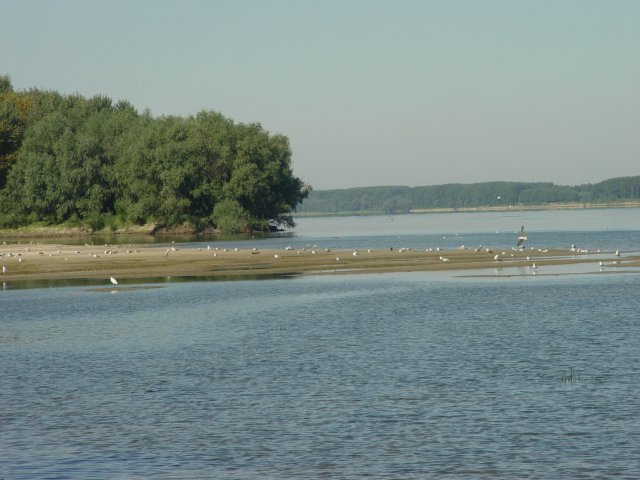 Дивият Дунав на Тутракан