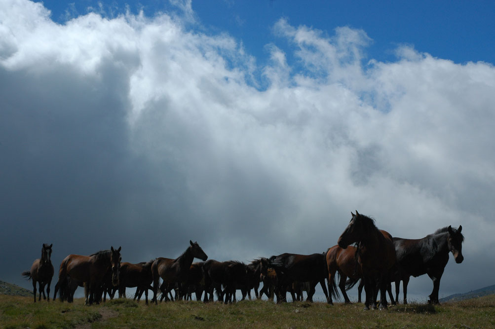 Trans Balkan 2015 – Hike and Fly