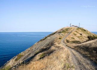 Дизела, Ком-Емине. Фотограф: Камелия Атанасова