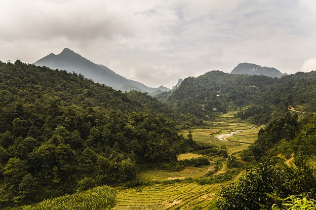 vietnam-599201_640