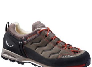 salewa ms mtn