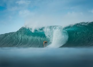 surf, Bilabong Pipe Masters