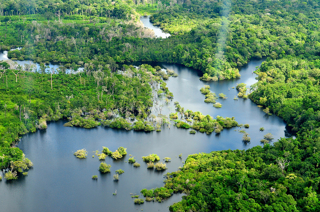 the-amazon-rainforest