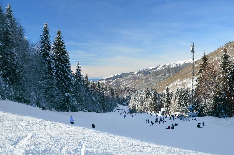 Картала