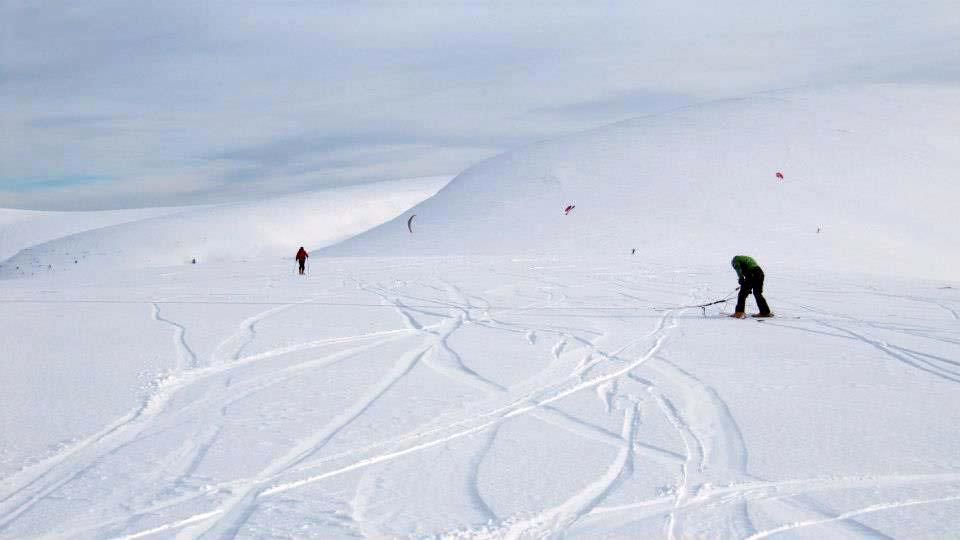 Картала