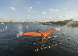 Red Bull Flugtag