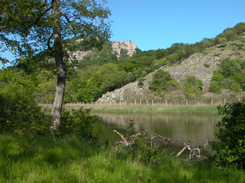 Лъвската глава, Приморско