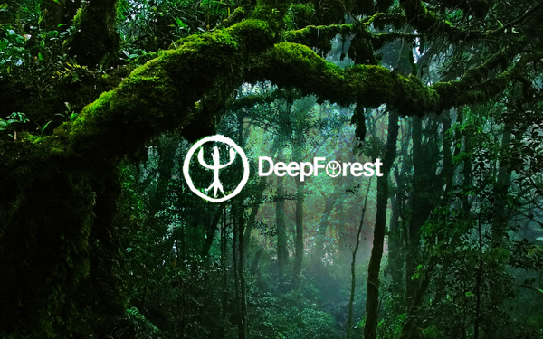 Беглика Фест 2016: Дружно усилие със звученето на DEEP FOREST