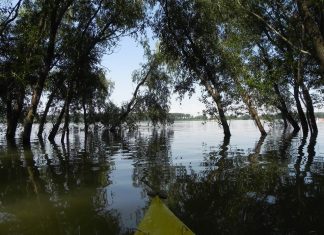 Воден поход по река Дунав