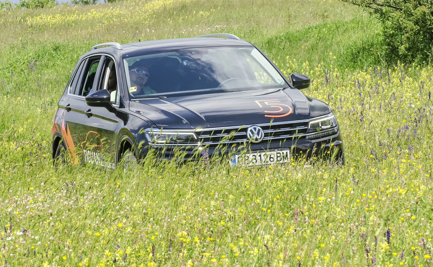 Tiguan Blind Dates