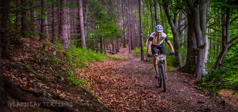 VITOSHA100-information1