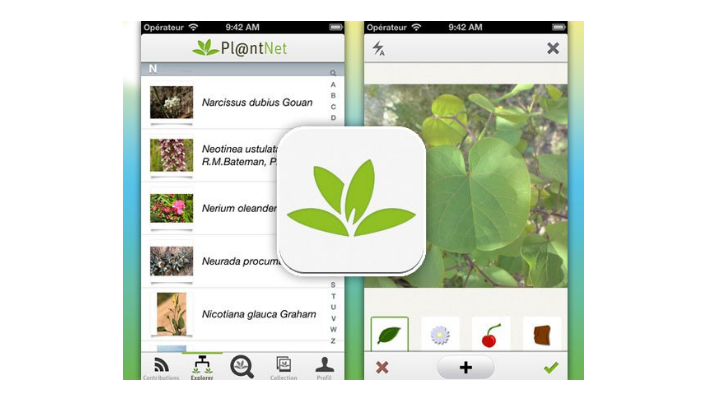 Shazam for Plants