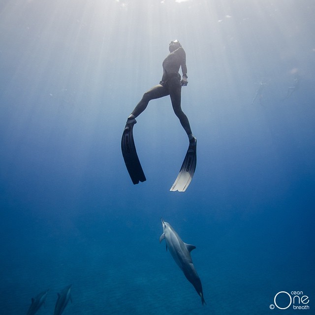 Снимка: oneocean_onebreath @ instagram