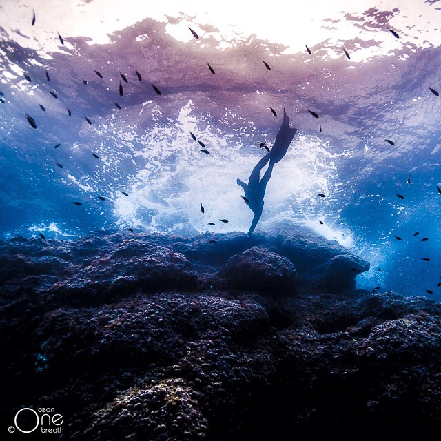 Снимка: oneocean_onebreath @ instagram