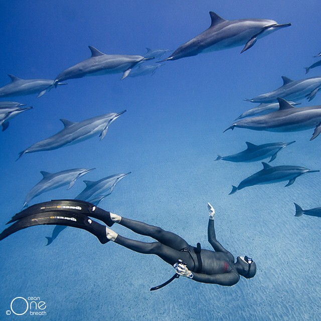 Снимка: oneocean_onebreath @ instagram