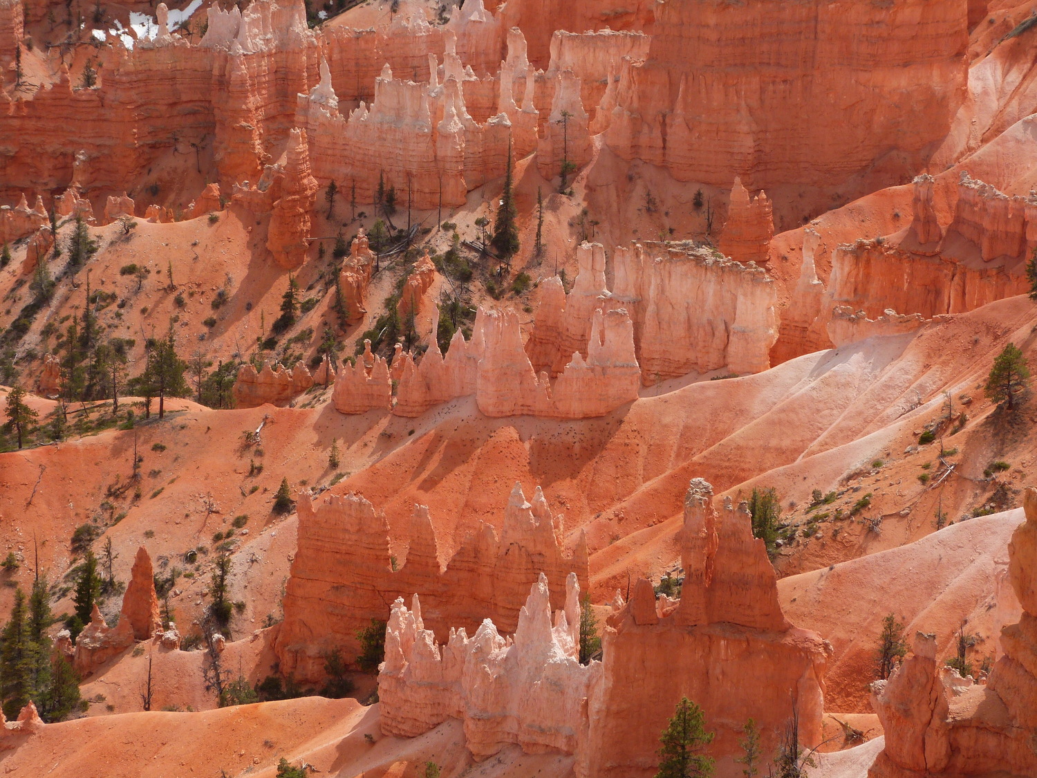 Bryce Canyon National Park, Utah; credit: Stefan Hadjianastassov