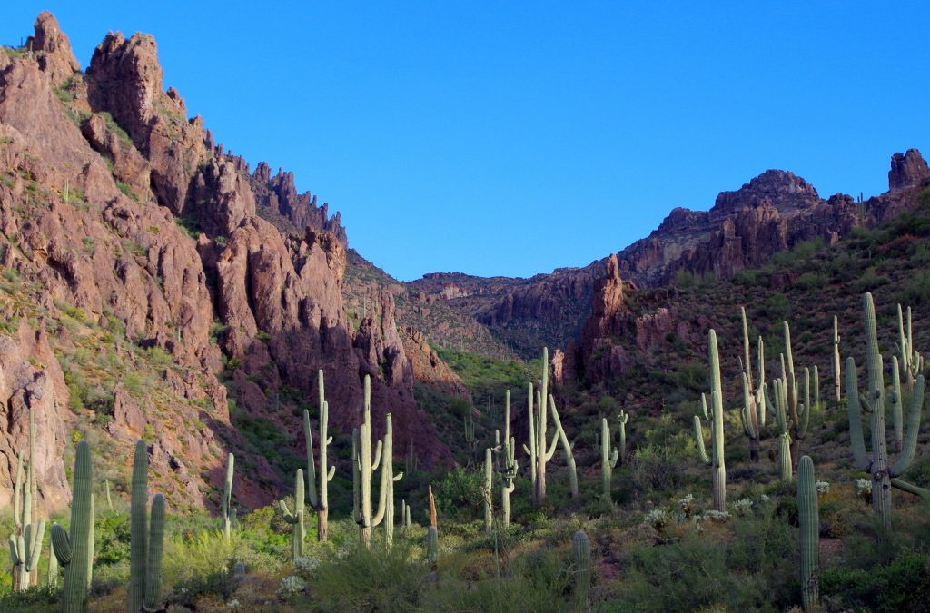 Из Планините на Суеверията, Аризона Superstition Mountains, Arizona