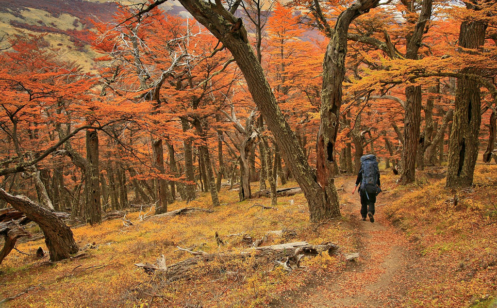 Backpacking in Patagonia in Autumn