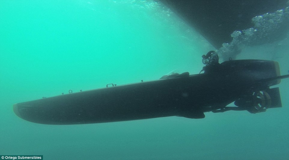 Лична подводница 