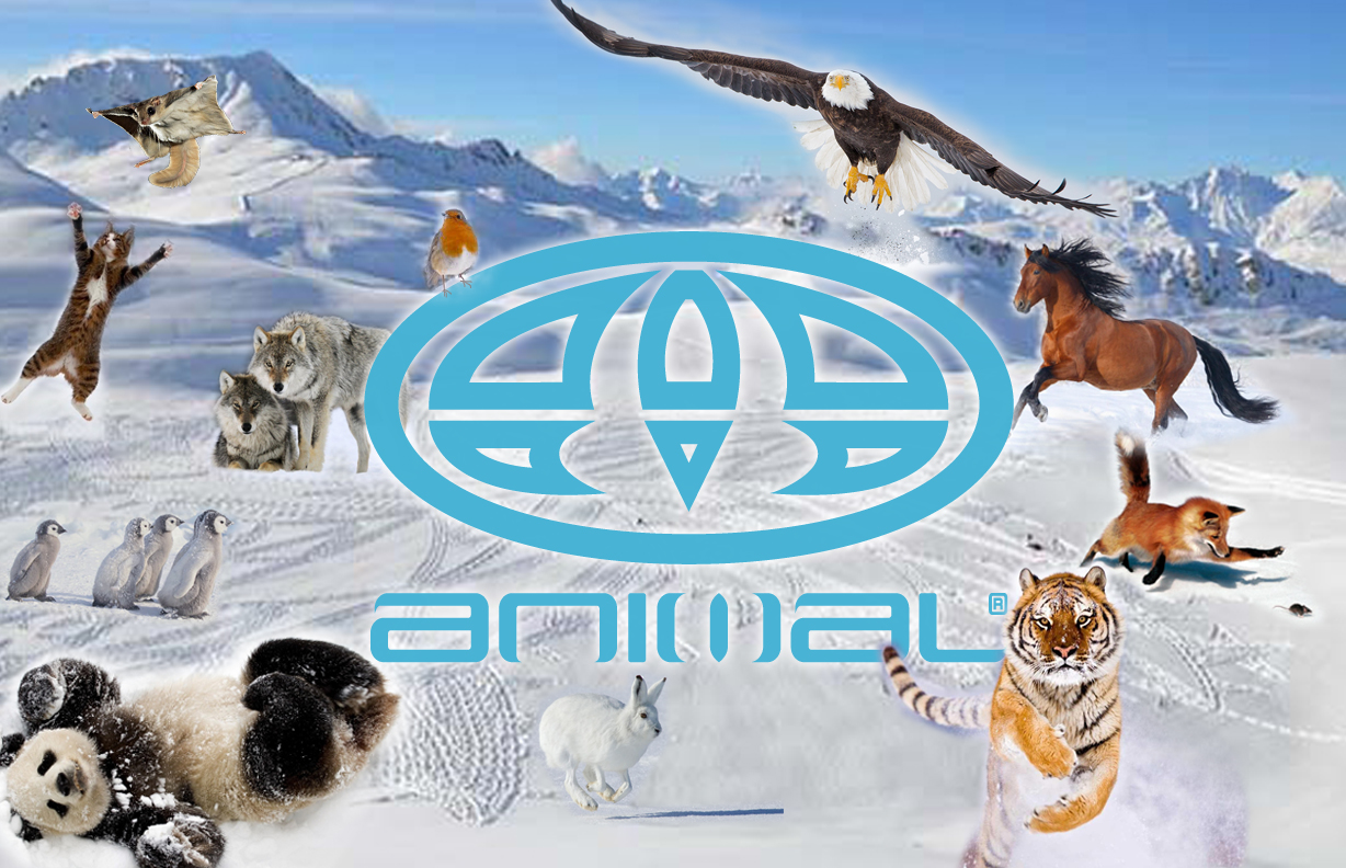 Animal Game