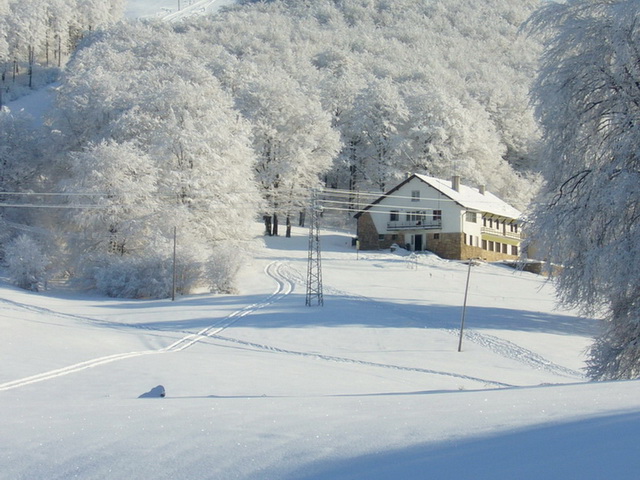 Хижа Пършевица