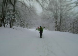 Петрохан фрийрайд