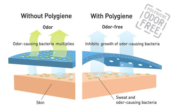 Polygiene