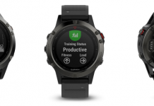 Garmin Fenix 5