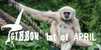 gibbon слаклайн работилница