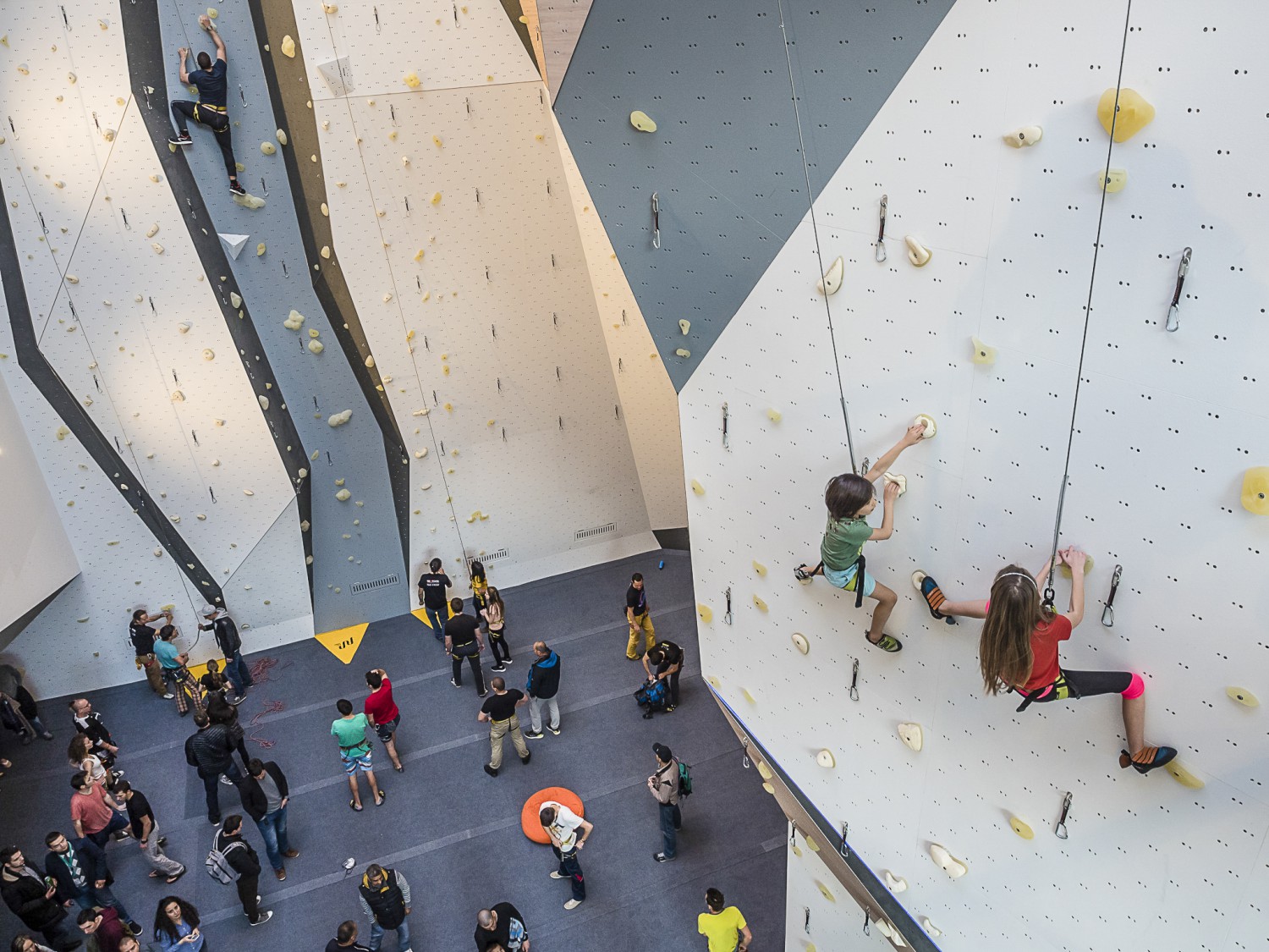 Walltopia Climbing & Fitness