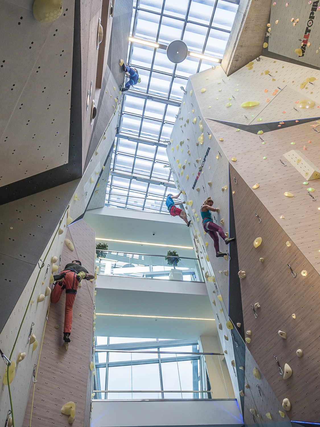 Walltopia Climbing & Fitness