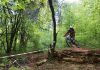 Botevgrad DH Cup