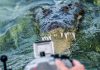 Да плуваш с 4-метрови крокодили
