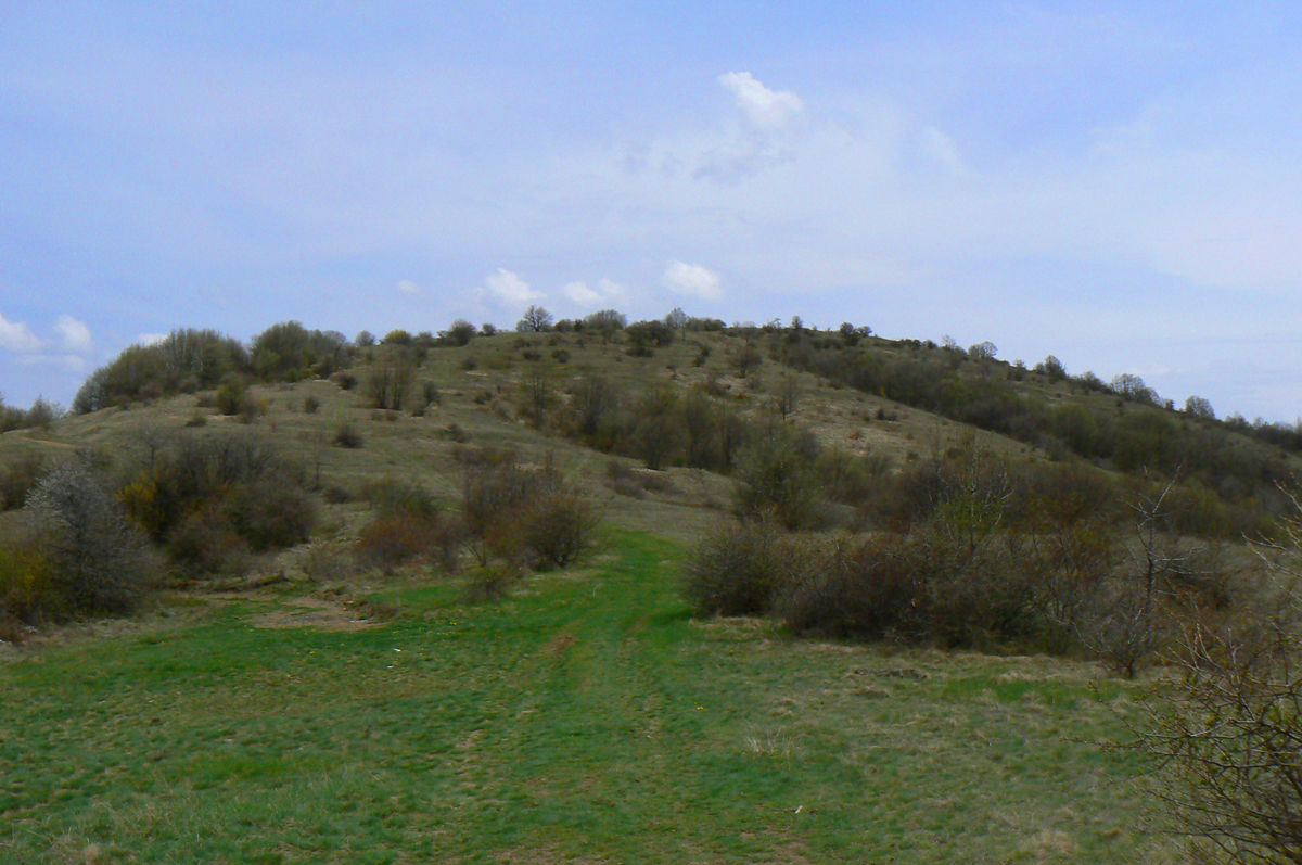 Черна гора