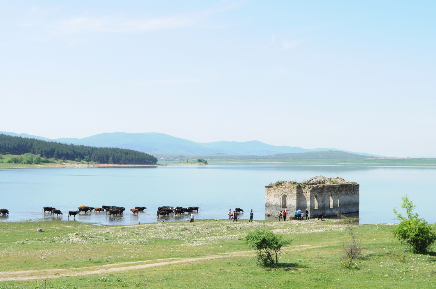 ПЛАНИНИТЕ НА БЪЛГАРИЯ: Средна гора - 360mag