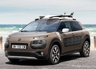 C4 Cactus Rip Curl