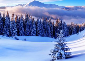 Как ни влияят зимата и снегът?