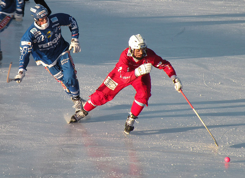 Необичайните зимни олимпийски спортове