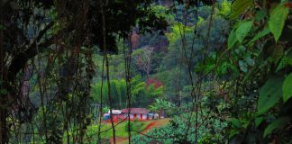 Roldanillo, Valle de Cauca снимка: Ира Кюрпанова