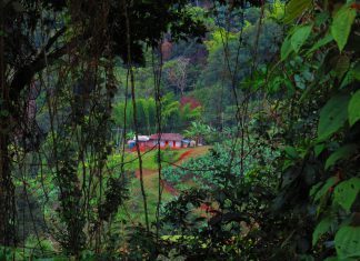 Roldanillo, Valle de Cauca снимка: Ира Кюрпанова