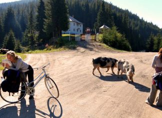 Велотуризъм в Източна Европа