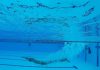Състезание по плуване "Златния делфин"