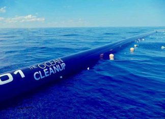 ocean clean featured