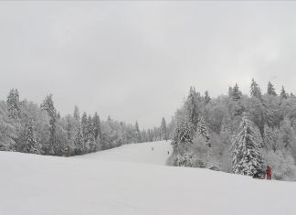 Включване от Боровец