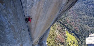 Free Solo