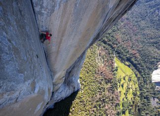 Free Solo