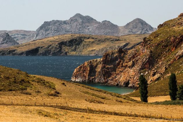 Пролетно сърф джамбуре