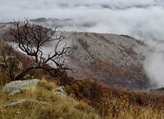 Снимка: Христо Узунов